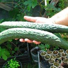 Настоящий мужик.