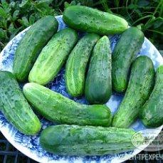 На засолку, супер.