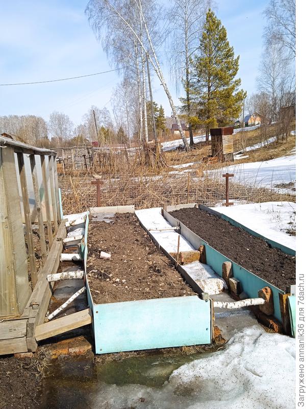 Это сегодня сфотографировала