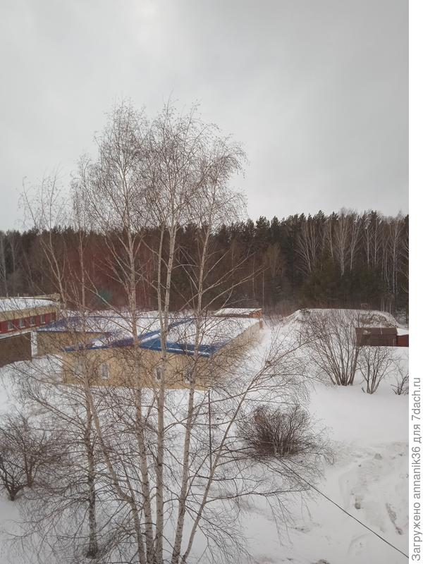 У нас настоящий февраль ветер и снег - метель