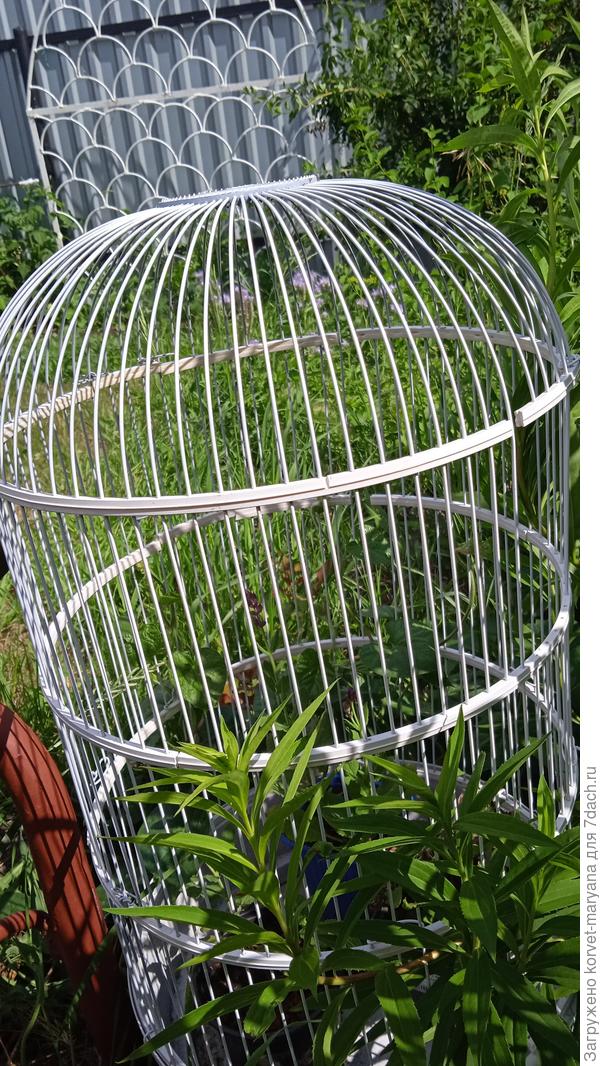 Старая клетка из-под попугая