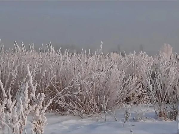 Ещё и небо мутно белое