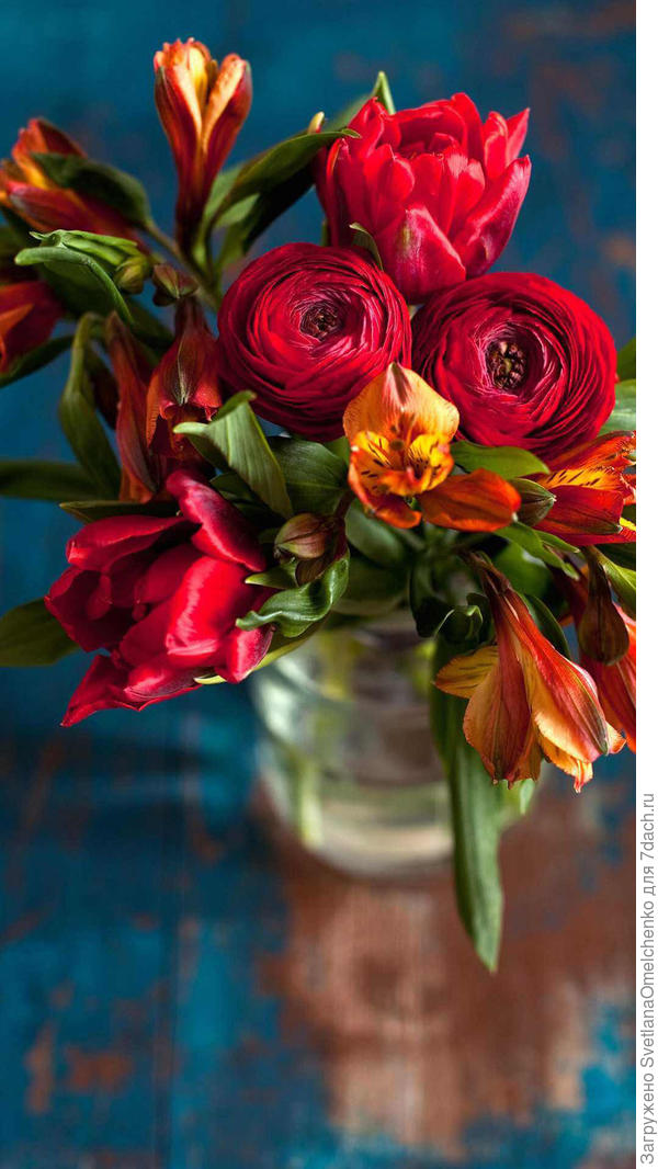 Букетик для Софии!