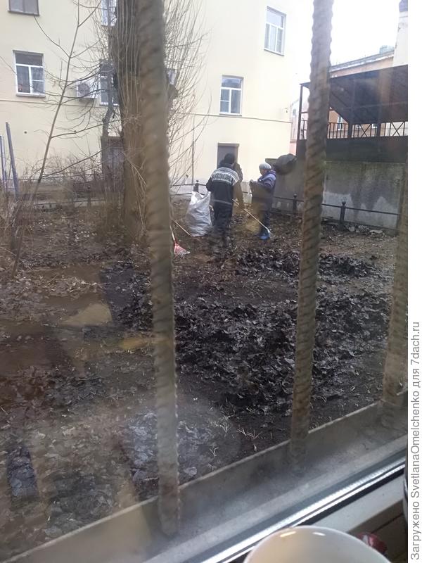 Коротко о погоде 17 января 2020 г.