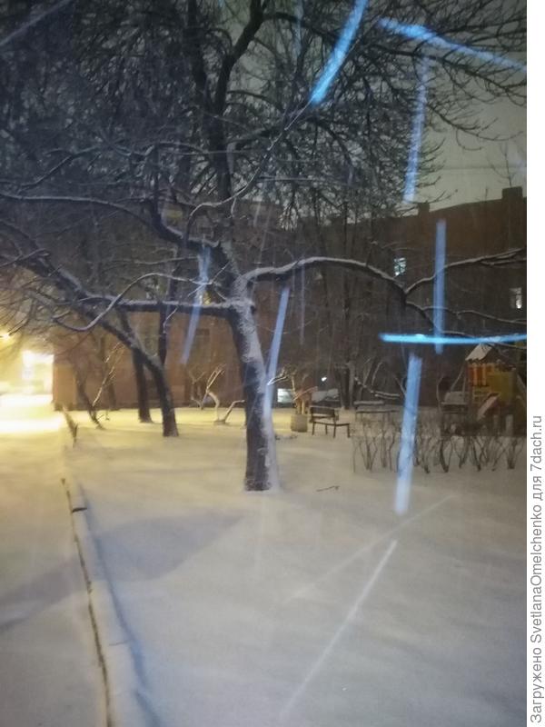 Петербургский снегопад