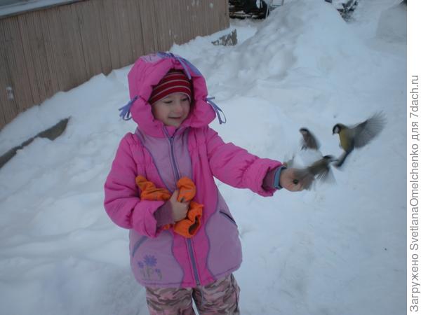 Наши синички понаглее