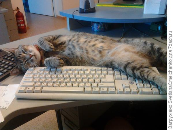 Маруся на работе:)