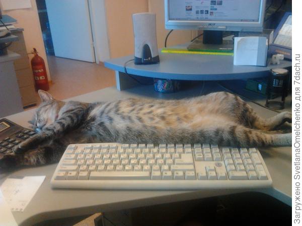 Любимое место:)