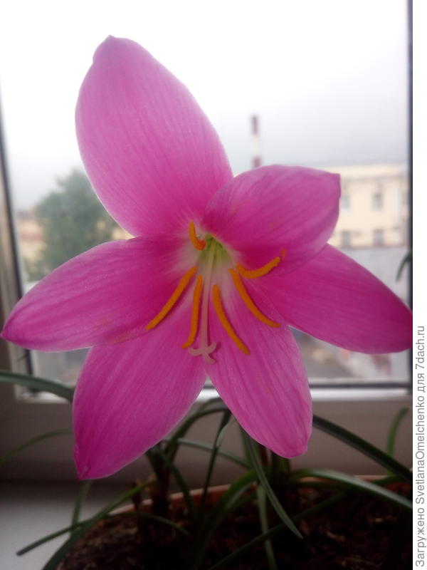 Поздравляю!