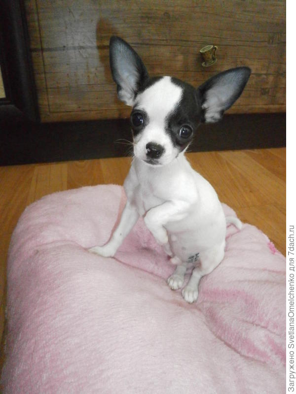 Тоже когда-то был маленьким