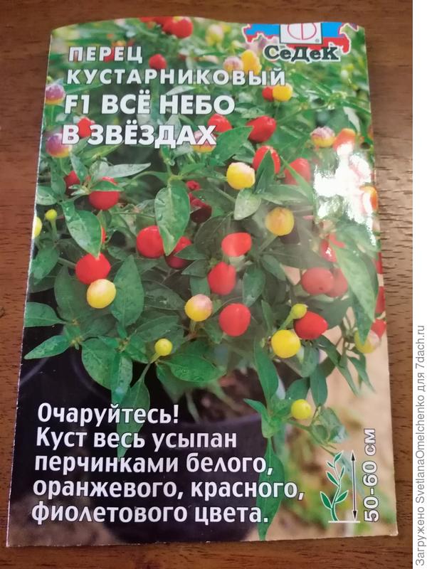 Небо в звёздах