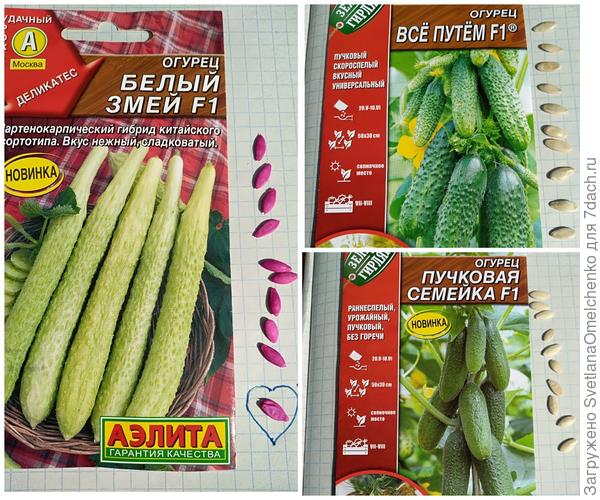 Считаем семена