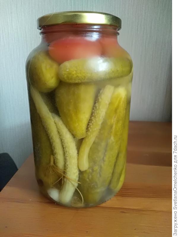 Змееныши в банке