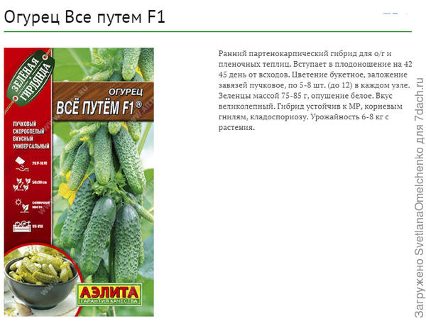 Всё путём F1