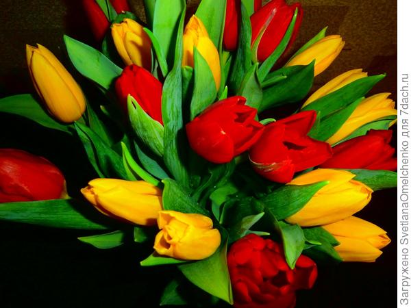 Весны тебе в душе!