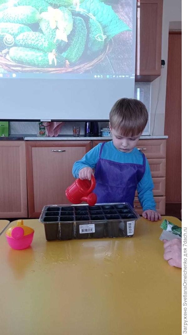 Мой внучатый племяшка