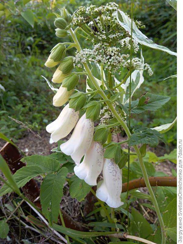 С днём рождения!