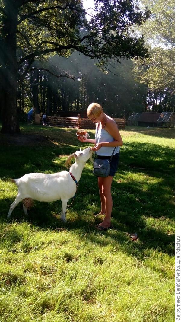 Как такое чудо можно съесть?