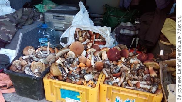 В холодильнике на заднем фоне, тоже грибочки