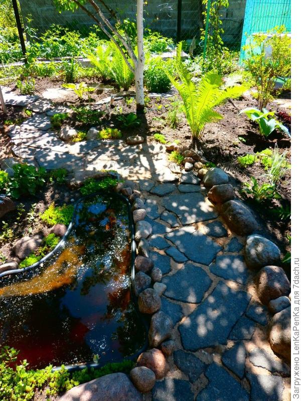 Года три назад она попросила мужа перевезти сдолбленные куски асфальта (где-то приметила), и выложила дорожки.