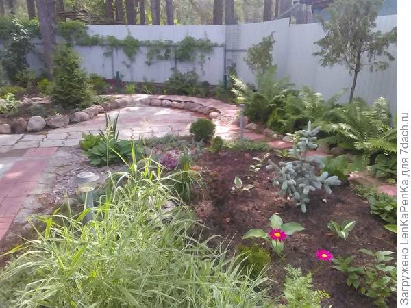 В прошлом году от тех дорожек не следа, что мы увидим весной, не знаю, но знаю точно, совершенно другую картину))).