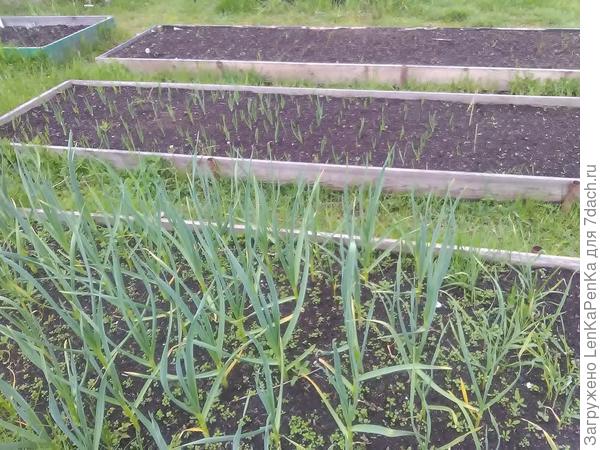 Такое безобразие было в пршлом году, в этом, надеюсь, будет поприличней.