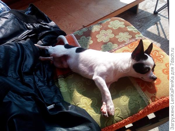 Бандитизм на отдыхе