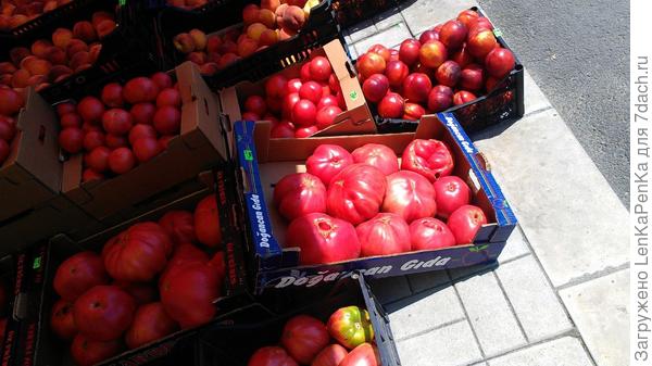 Помидорины наверно весом больше килограмма, а какие вкусные...
