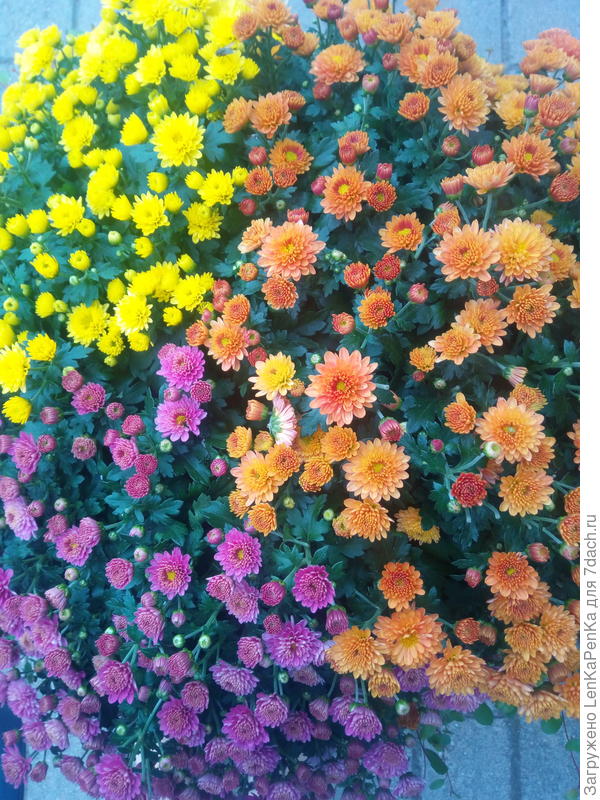 Поздравляю!!!