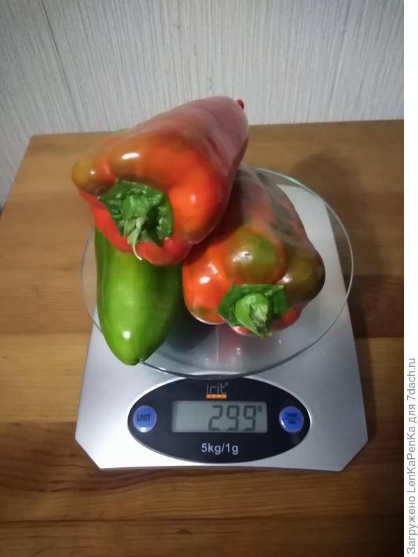 111