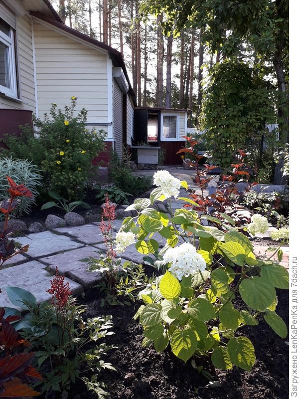 Мамин огородик