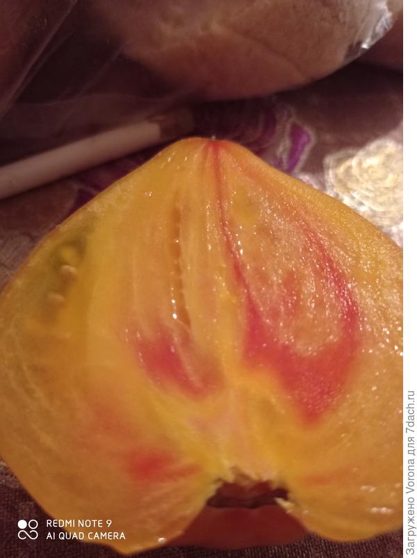 Золотые горы Медео