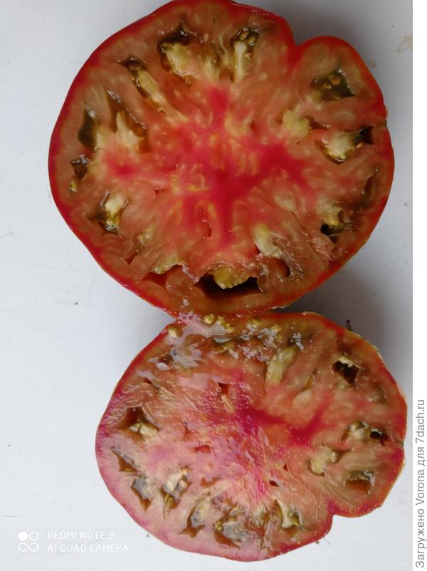 Томат Семиречье в разрезе