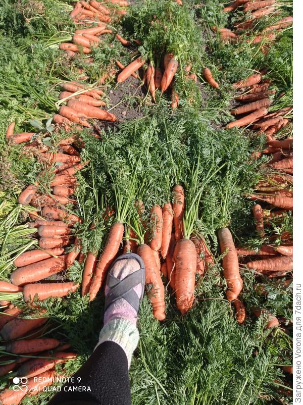 В сравнении со стопой