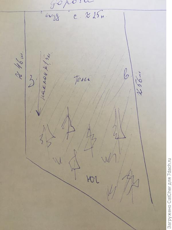 это план участка, спапсибо!