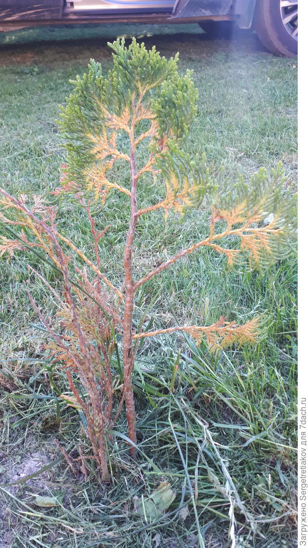 Проблема номер 2