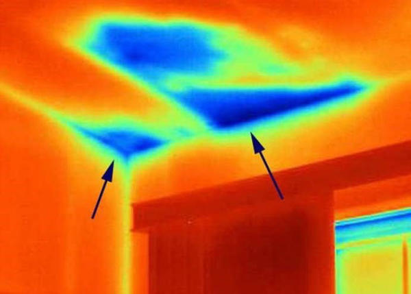 Холодные цвета на "теплограммах" показывают влажные области потолка и стен