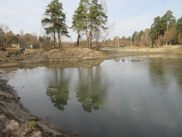 Плотина отсекла часть пруда для ее рекультивации. Фото автора