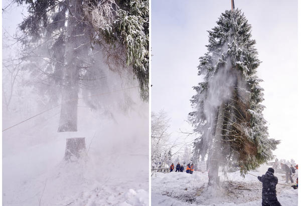 Снег стряхнули как по волшебству