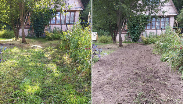 Дорожка до начала работ и после вспашки культиватором