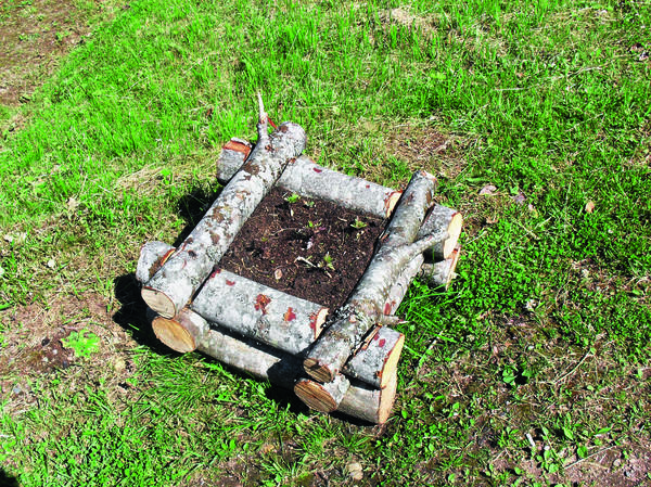 Мини-грядка из поленьев