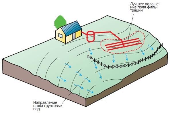 Рис. 4. Схема расположения поля фильтрации на участке на склоне