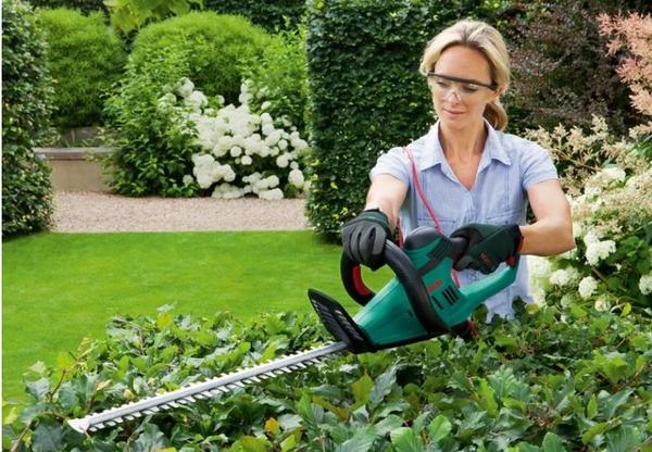 Электрический кусторез Bosch AHS 45-26 0.600.847.E00. Фото с сайта b-tools.ru