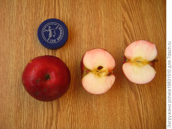 яблоко