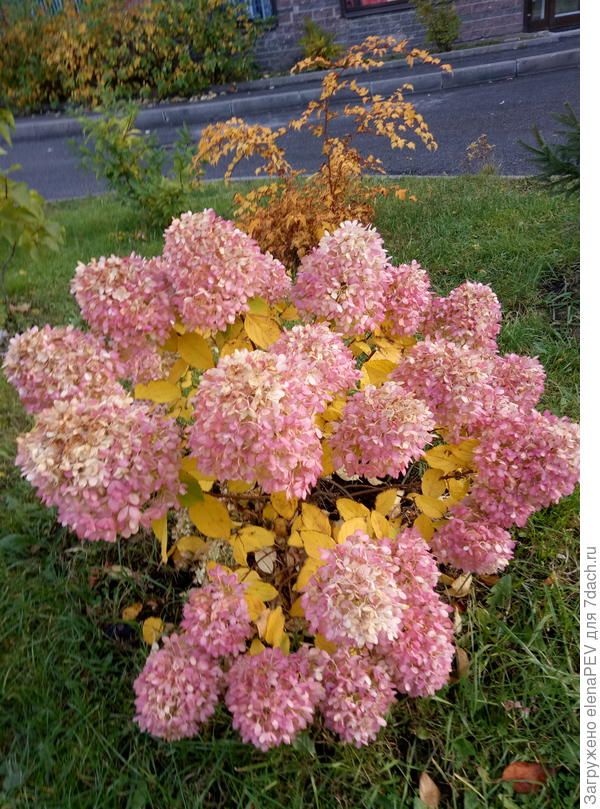 А это октябрь.