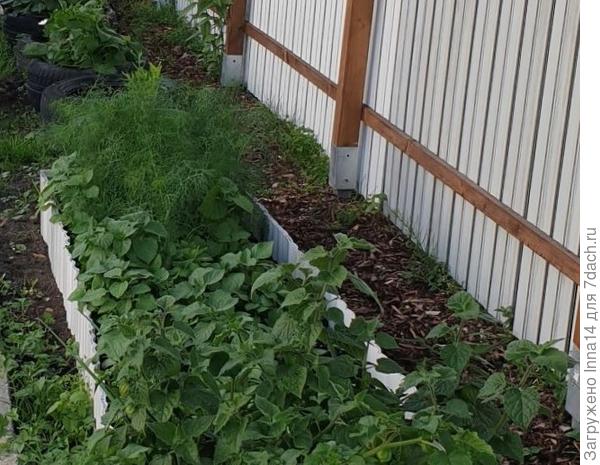 сильно густо насадила)