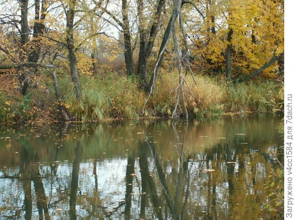 Времена года. Осень.