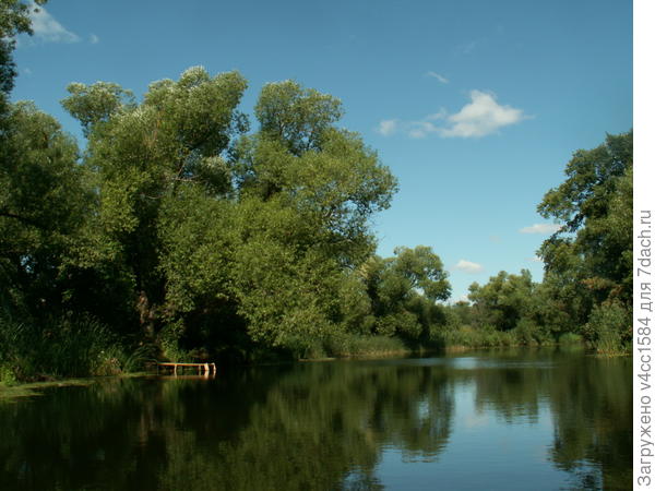 Времена года. Лето.