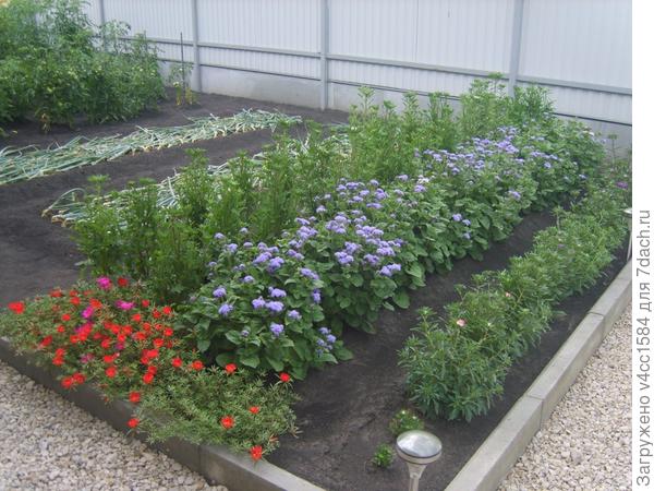 Вот этот участок