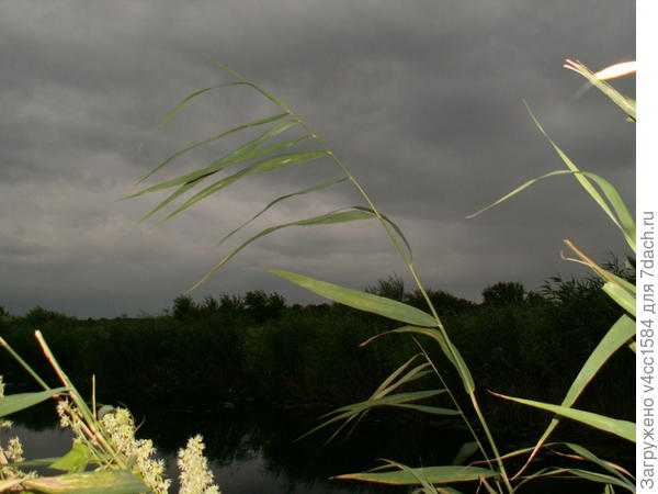 Осень, унылая пора...